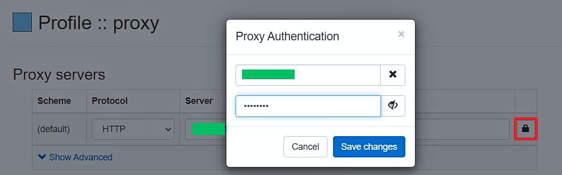 Điền thông tin đăng nhập Proxy vào Switchy Omega