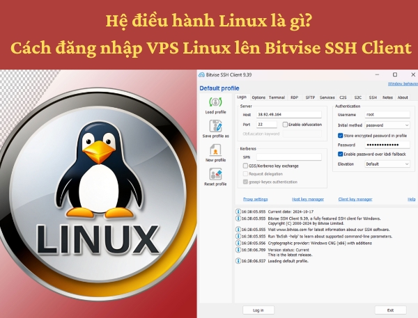 Hệ điều hành Linux là gì Cách đăng nhập VPS Linux lên Bitvise SSH Client