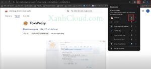 Thêm tiện ích Foxy Proxy vào Chrome và ghim lên thanh công cụ để tiện sử dụng 