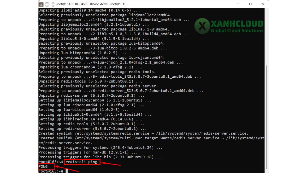 Kiem-tra-Redis-Server-da-cai-dat
