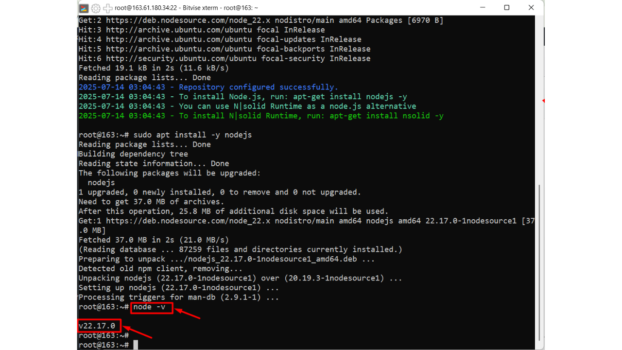 kiem-tra-phien-ban-nodejs-22