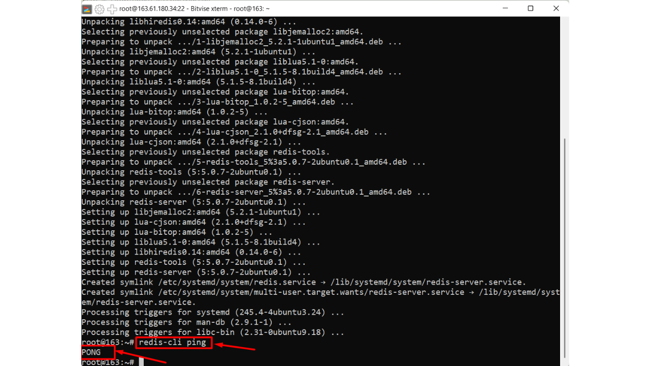 Redis Server