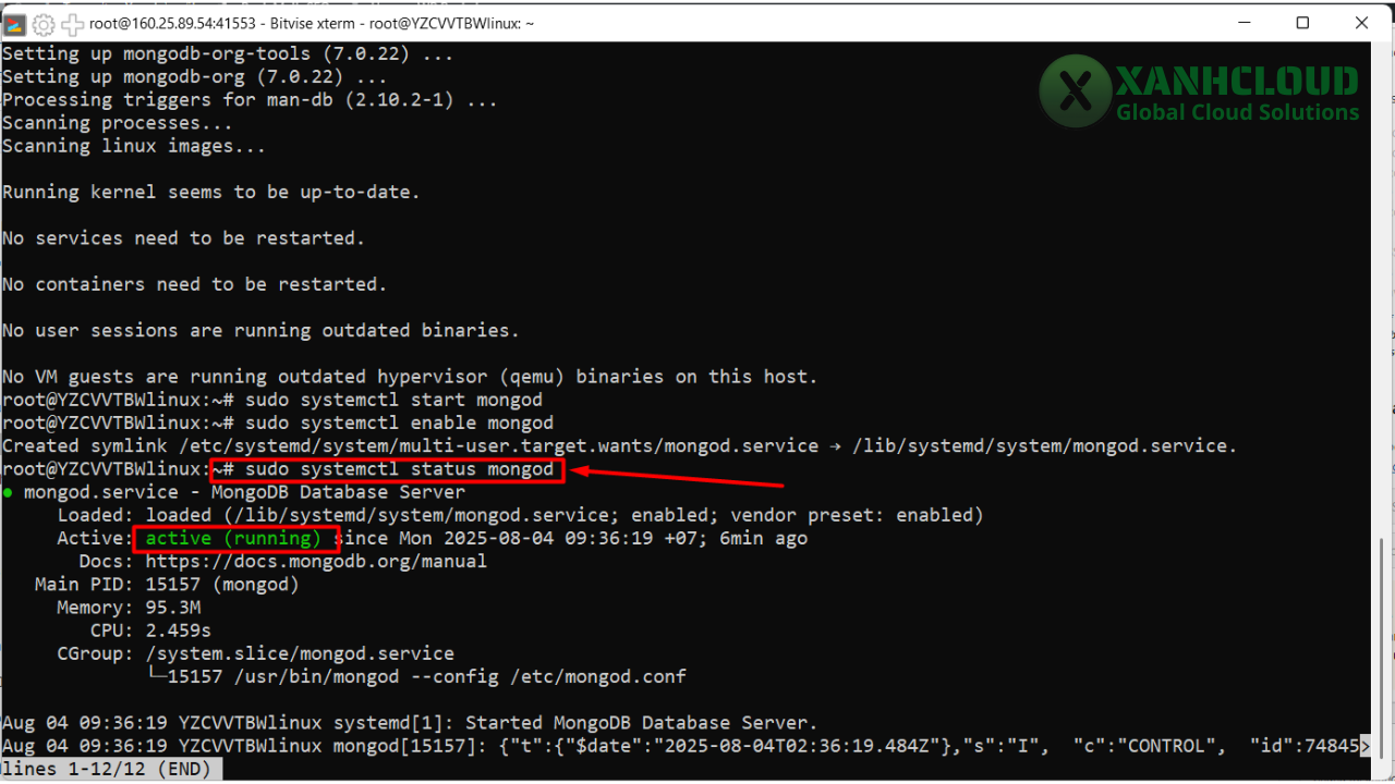 Trang-thai-mongoDB-active-running
