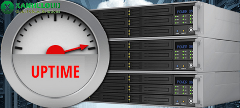 Độ ổn định và Thời gian hoạt động (Uptime)