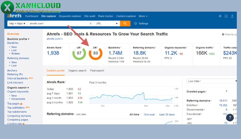 Domain rating là gì? Vai trò của chỉ số DR và cách check online