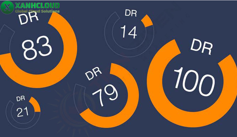 Domain rating là gì? Vai trò của chỉ số DR và cách check online