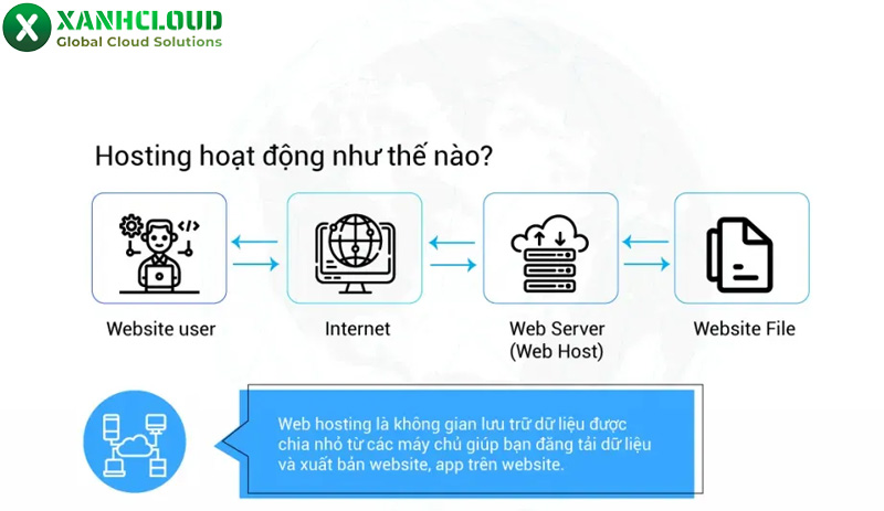 Host và domain là gì? Phân biệt sự khác nhau và khái niệm cơ bản