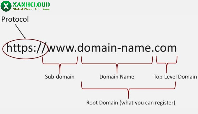 Host và domain là gì? Phân biệt sự khác nhau và khái niệm cơ bản