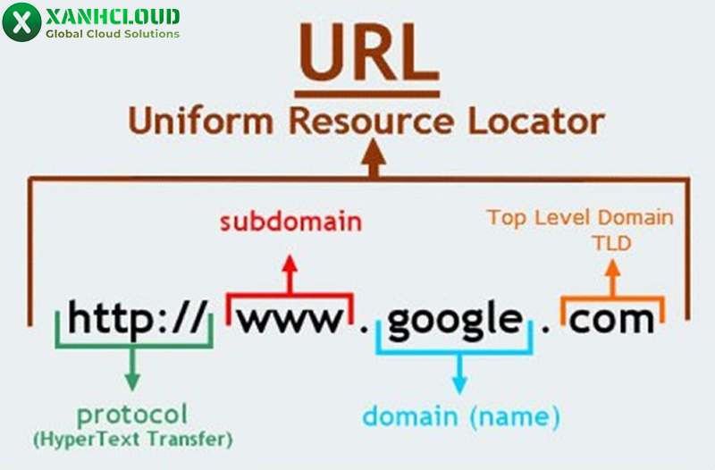 Top level domain là gì? Các loại tên miền cấp cao nhất (TLD) phổ biến hiện nay