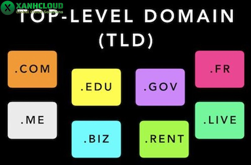 Top level domain là gì? Các loại tên miền cấp cao nhất (TLD) phổ biến hiện nay