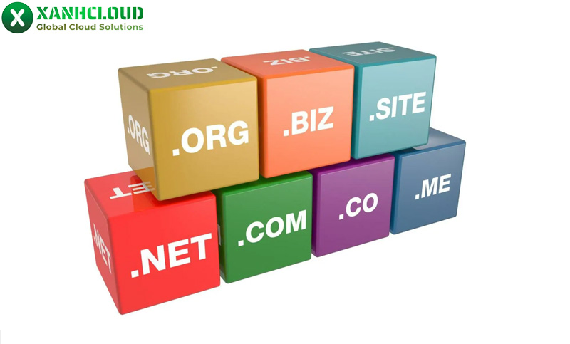 Top level domain là gì? Các loại tên miền cấp cao nhất (TLD) phổ biến hiện nay