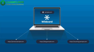 Wildcard là gì?