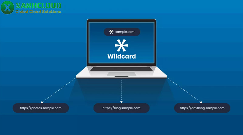 Wildcard là gì?