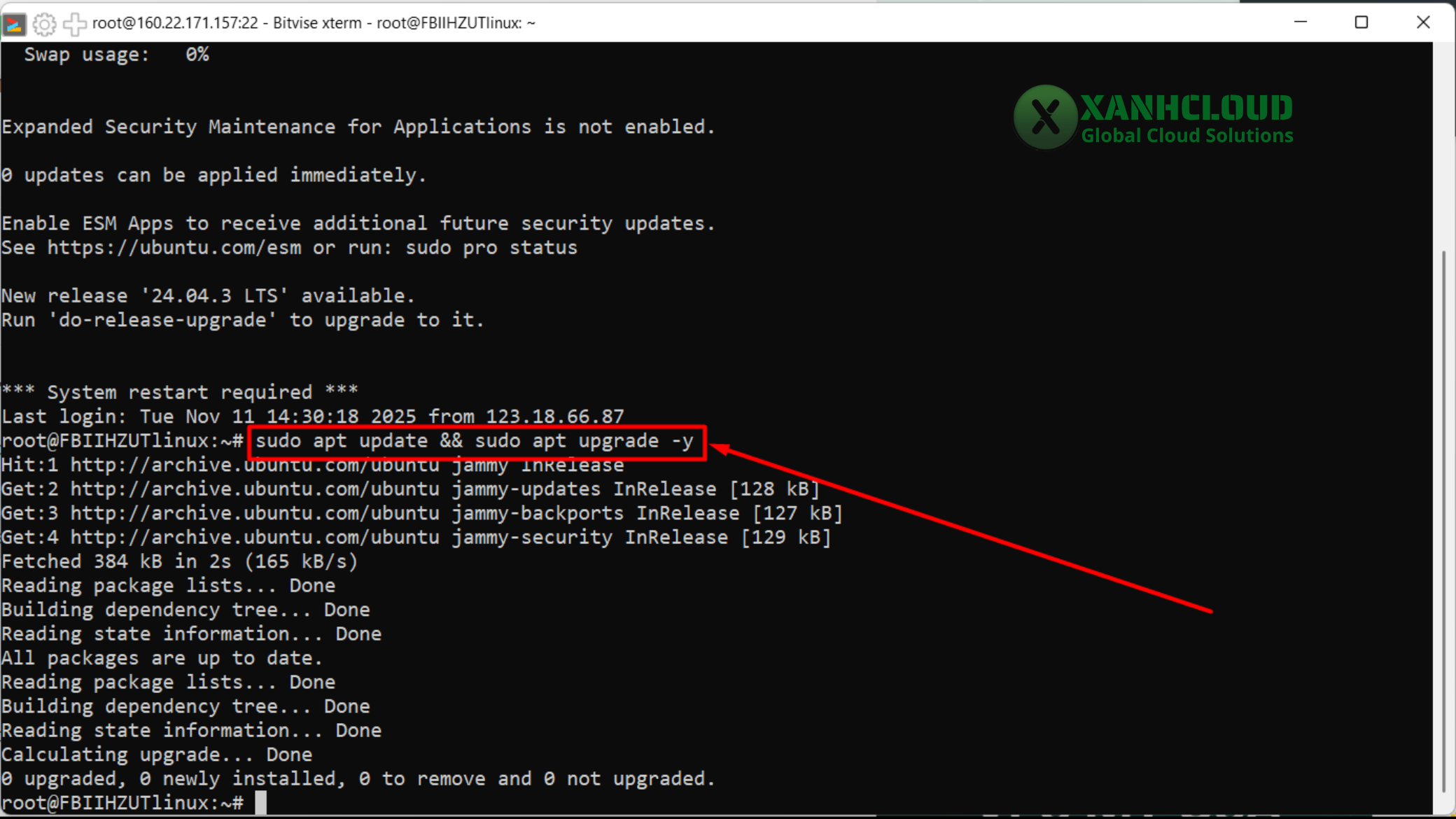 Terminal hiển thị quá trình update hệ thống