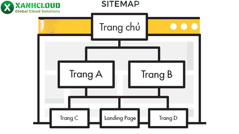 Cấu trúc website là gì? Cấu trúc website bao gồm những gì?