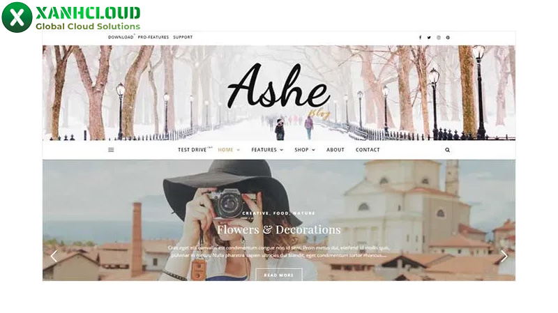 Modern Grid Layout – phù hợp cho Nhiếp ảnh gia, Content Creator