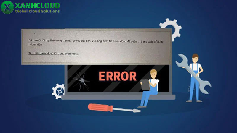 Quản trị web là gì? 7 công việc chính của 1 quản trị viên website