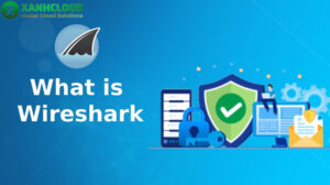 Wire shark là gì