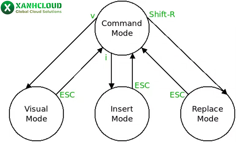 Vim là gì? Ưu điểm và các bước cơ bản sử dụng Vim trong Linux