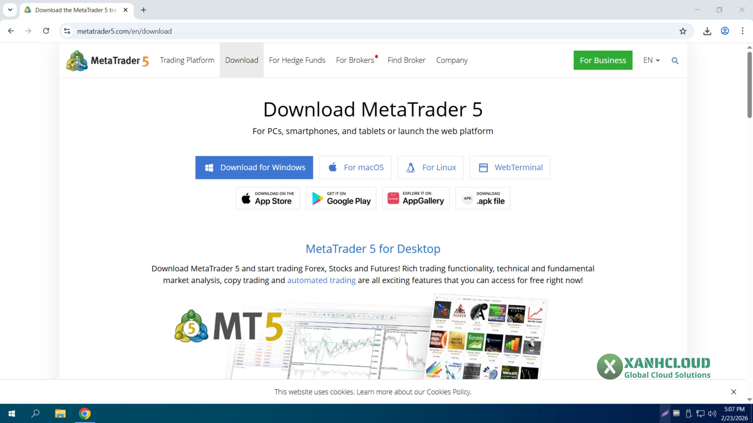 Cài đặt và chạy MetaTrader 5 trên VPS Windows