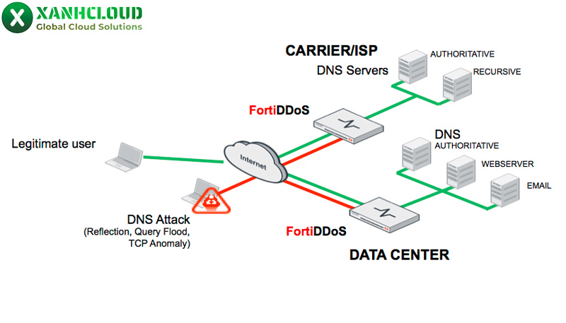 FortiDDoS của Fortinet