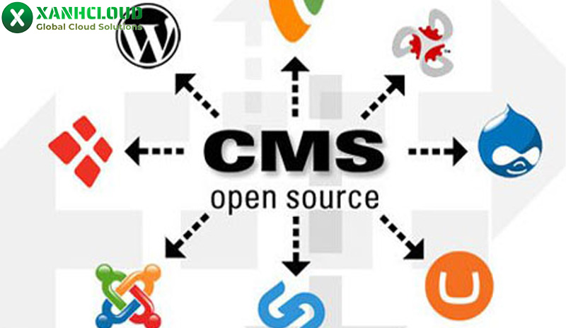 CMS là gì? Điểm danh các loại CMS phổ biến hiện nay