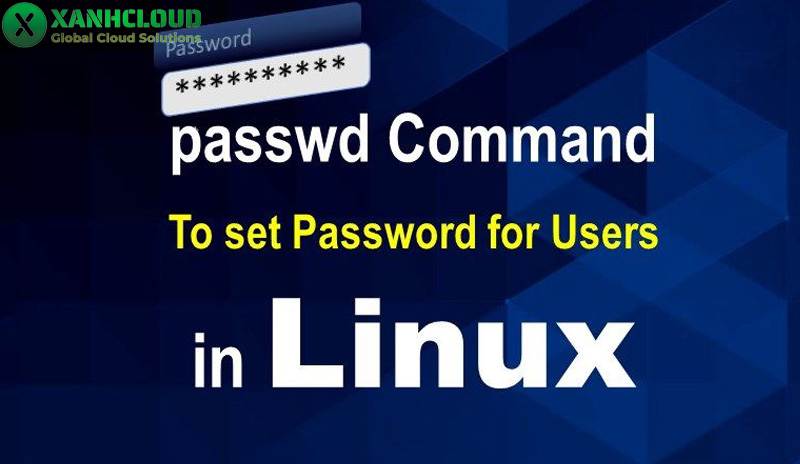 Hướng dẫn cách đổi mật khẩu VPS đơn giản và nhanh nhất