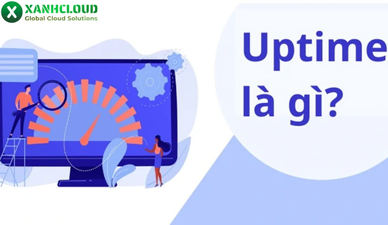 Uptime là gì? Ý nghĩa, công thức tính và cách kiểm tra