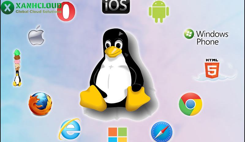 Linux là gì? Hướng dẫn cách cài hệ điều hành linux