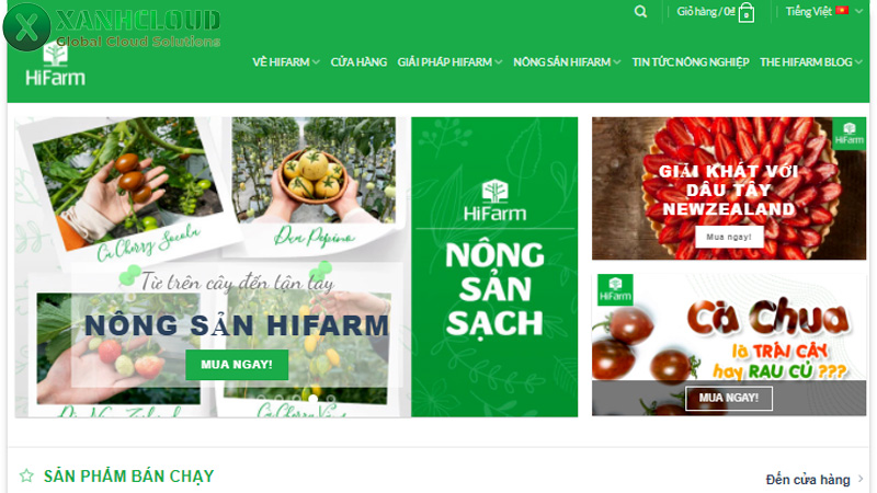 TOP những trang web bán hàng có giao diện đẹp năm 2026