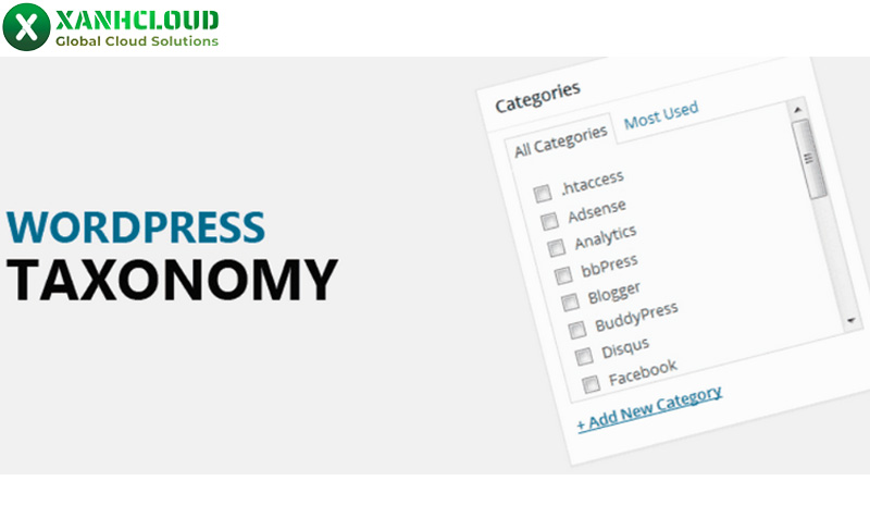 Taxonomy là gì? Tìm hiểu 4 loại Taxonomy trong WordPress?
