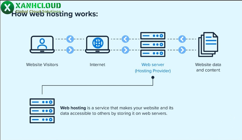 Website hosting là gì? Phân loại các loại dịch vụ web hosting