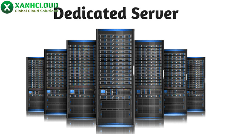 Website hosting là gì? Phân loại các loại dịch vụ web hosting