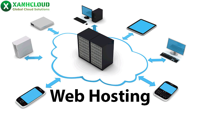 Website hosting là gì? Phân loại các loại dịch vụ web hosting