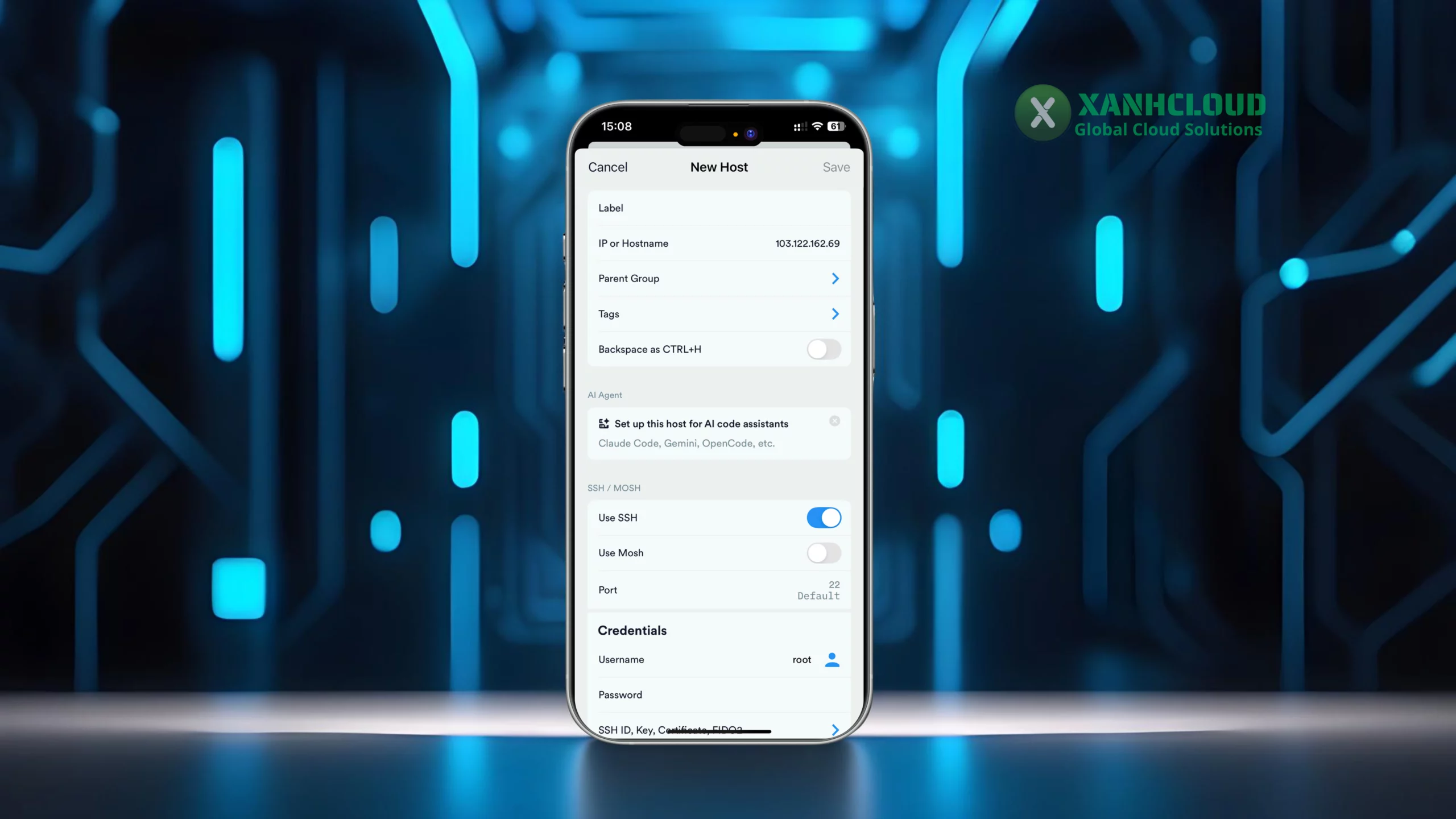 Nhập IP VPS, username root, port SSH và password trên Termius