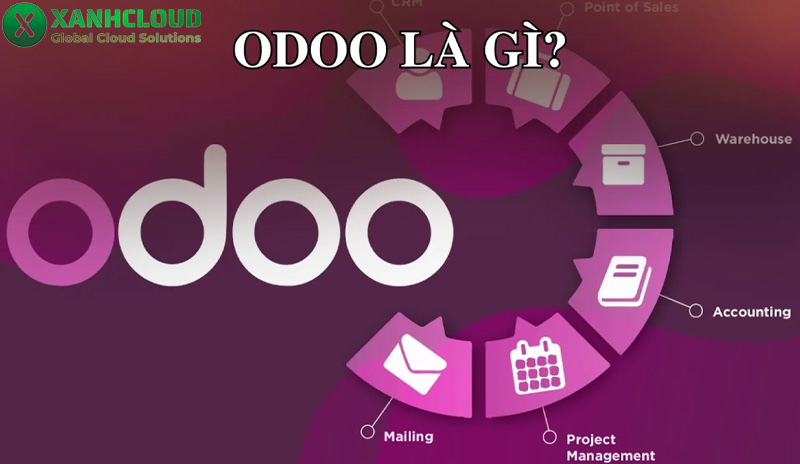 Odoo là gì? Vai trò và kỹ năng của một Odoo developer