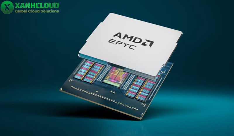 VPS AMD là gì? So sánh chi tiết ưu điểm với VPS Intel