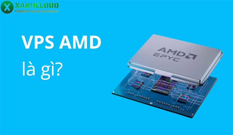 VPS AMD là gì? So sánh chi tiết ưu điểm với VPS Intel